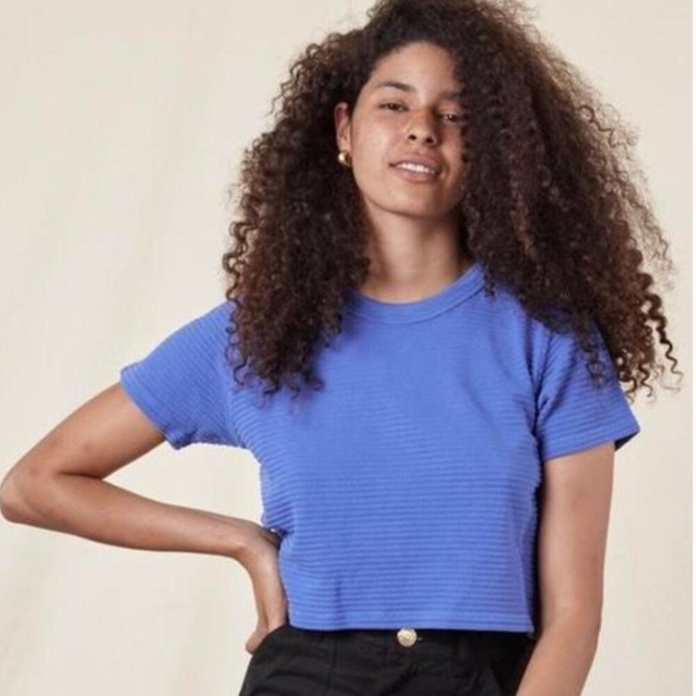 Big Bud Press Cornflower Blue Honeycomb Cropped Tee | Size M